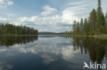 Nationaal Park Fulufjället