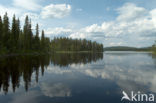 Nationaal Park Fulufjället