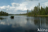 Nationaal Park Fulufjället