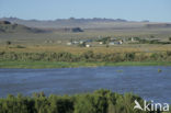 Oranje rivier