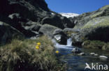 Sierra de Gredos