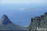 Table mountain national park