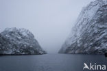 Trollfjord