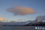 Tysfjord