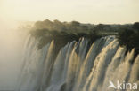 Victoria falls