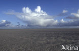 Waddenzee