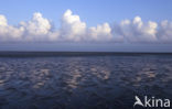 Waddenzee