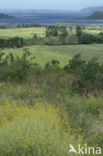 Wilderness nature reserve