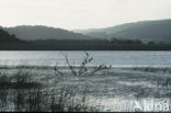 Wilderness nature reserve
