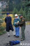 Denali National Park