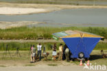 Lage land van Texel