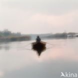 Nationaal Park de Biesbosch