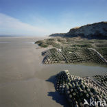 Noordzee