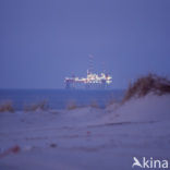 Noordzeestrand