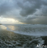 Noordzeestrand