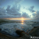 Northsea beach