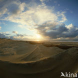 Northsea beach