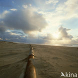 Northsea beach