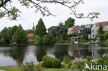Polder Middelblok