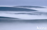 Varanger schiereiland