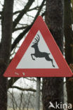 Veluwe