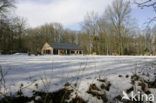 Voorsterbos