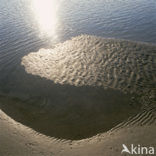 Waddenzee