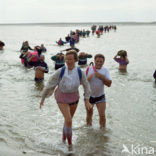 Waddenzee