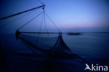 Waddenzee