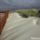 Waddenzee