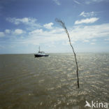 Waddenzee