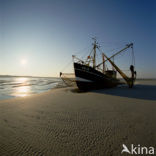 Waddensea