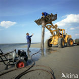 Waddenzee