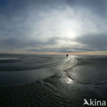 Waddenzee