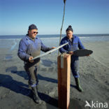 Waddenzee