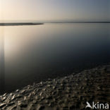 Waddensea