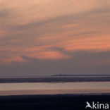 Waddenzee