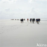 Waddensea