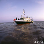 Waddenzee