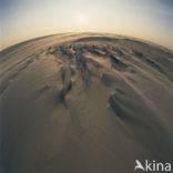 Waddensea