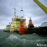 Waddensea