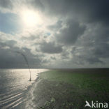 Waddenzee