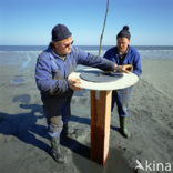 Waddenzee