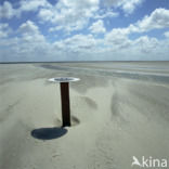 Waddensea