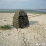 Waddensea