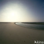 Waddensea