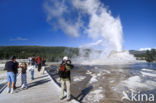 Yellowstone national park