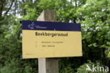 Beekbergerwoud