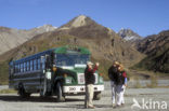 Denali National Park