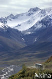 Denali National Park